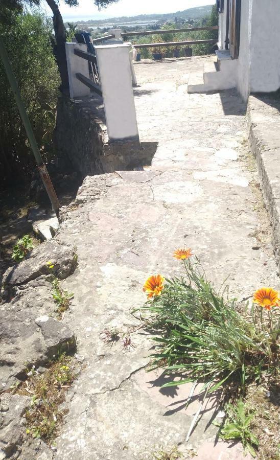 Ca Da Marta Q4526 Villa Carloforte  Eksteriør bilde