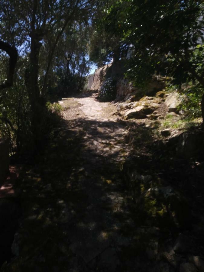 Ca Da Marta Q4526 Villa Carloforte  Eksteriør bilde