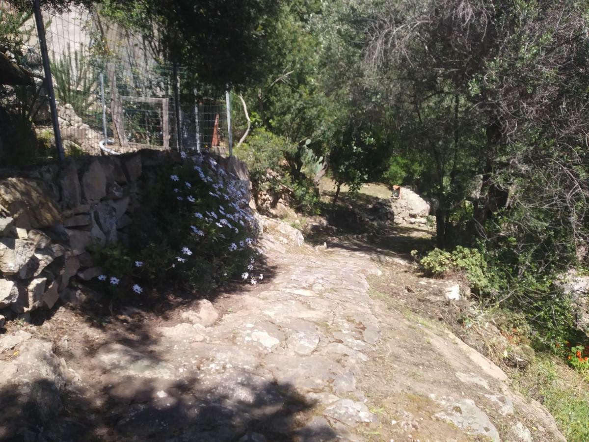 Ca Da Marta Q4526 Villa Carloforte  Eksteriør bilde