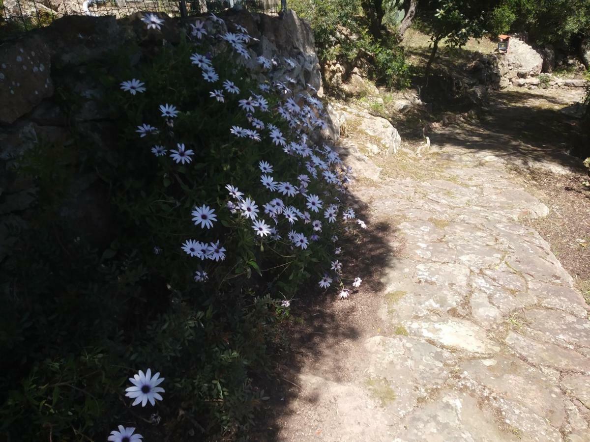 Ca Da Marta Q4526 Villa Carloforte  Eksteriør bilde