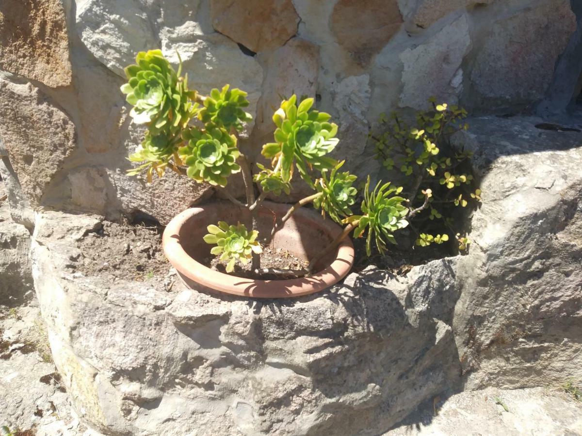 Ca Da Marta Q4526 Villa Carloforte  Eksteriør bilde